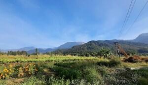  Plot For Sale in Kotabagh