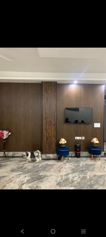 Living Room in 3 BHK Builder Floor at Saket – for Rent
