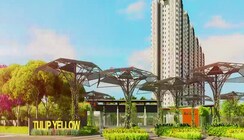 3 BHK Apartment For Sale in Tulip Yellow