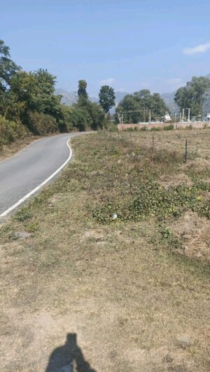 Plot Area in  Plot at Bhogpur – for Sale