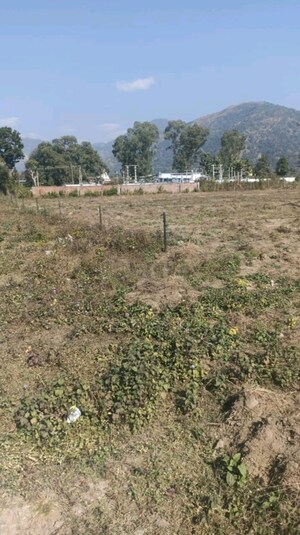 Plot Area in  Plot at Bhogpur – for Sale