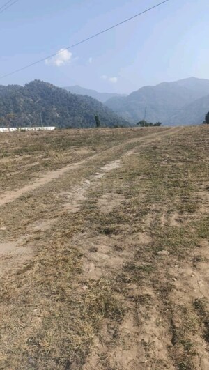 Plot Area in  Plot at Bhogpur – for Sale