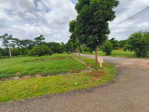 Plot – Garden View at Mysore Road - for Sale