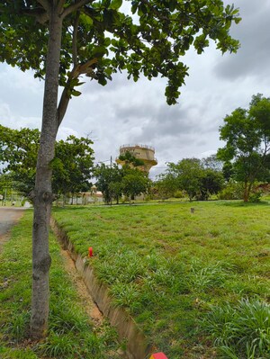  Plot – Garden View at Mysore Road - for Sale