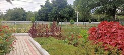 Plot For Sale in Sha Great Location, Great