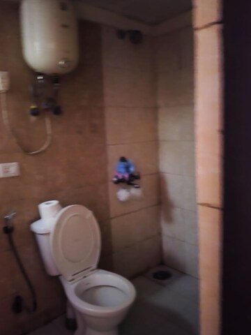 Bathroom in 2 BHK Apartment at Amrapali Silicon City, Sector 76 – for Rent