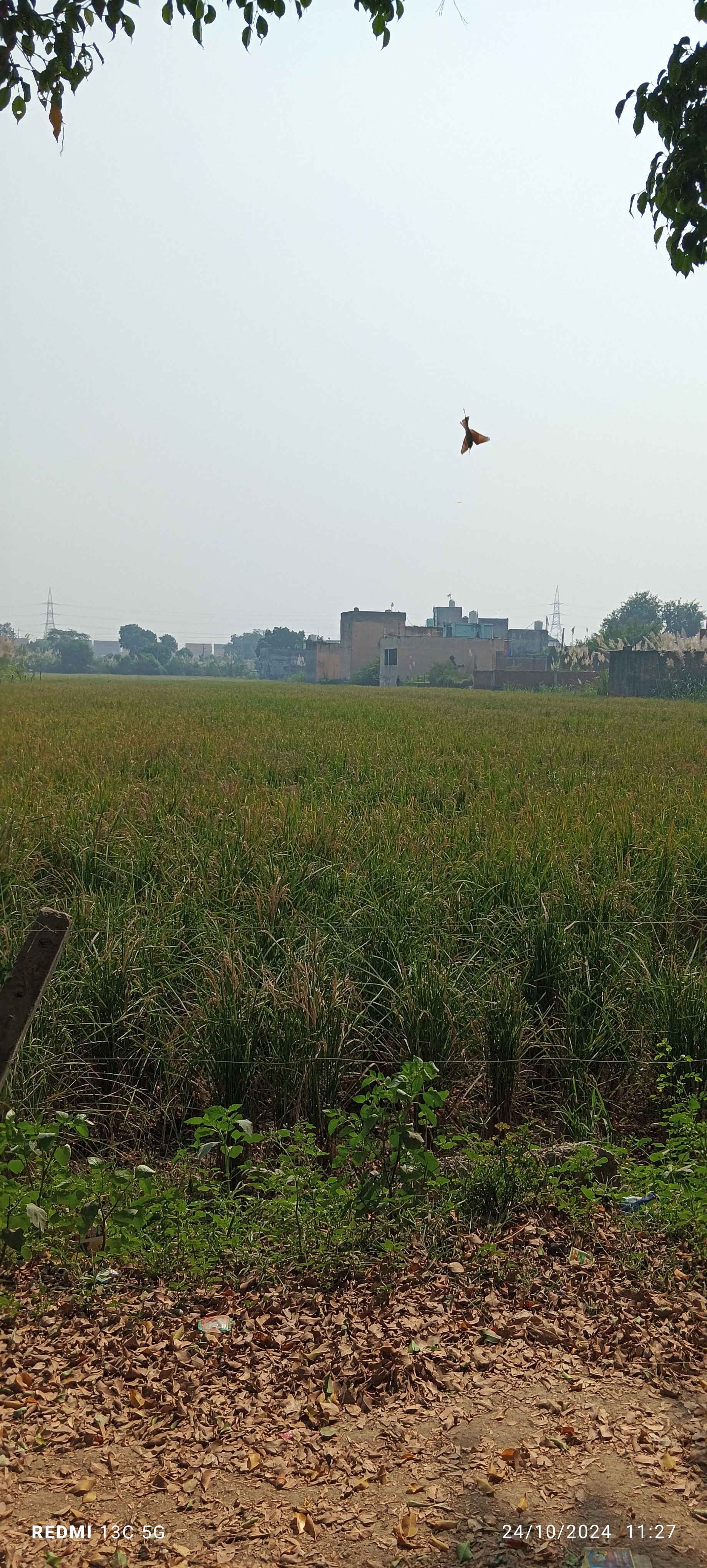 Plot For Sale in Sanjay Vihar