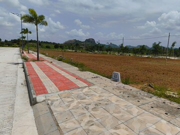 Plot Area in  Plot at Bidadi – for Sale