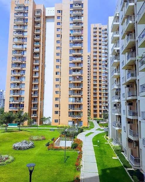 3 BHK Apartment For Rent in Pioneer Park Phase 1