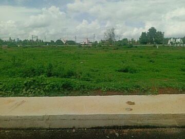 Land For Sale in Basavanagudi