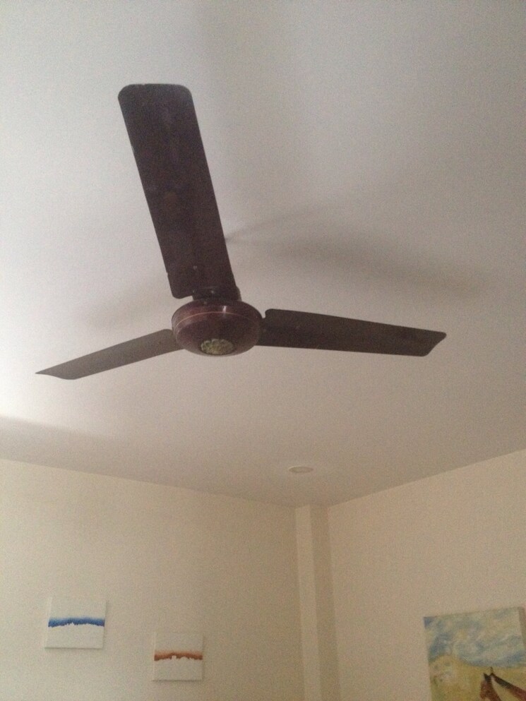 undefined, rwa-chittaranjan-park-block-r 2 Bedroom 140 Sq.Yd. Builder Floor In Chittaranjan Park Delhi 9154188