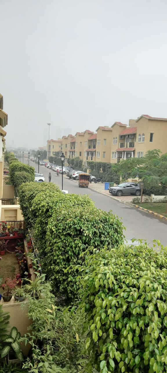 3 BHK + Extra Room Builder Floor For Sale in Emaar Emerald Floors