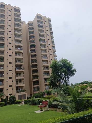 3 BHK Apartment For Rent in Ardee City Palm Grove Heights, Sector 52