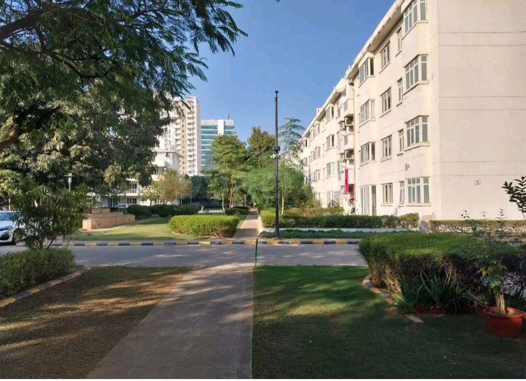 3 BHK Apartment For Sale in Emaar The Palm Drive-Palm Studios