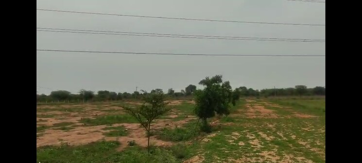 Garden, chevalla Commercial Land 2 Acre In Chevalla Hyderabad 9154438