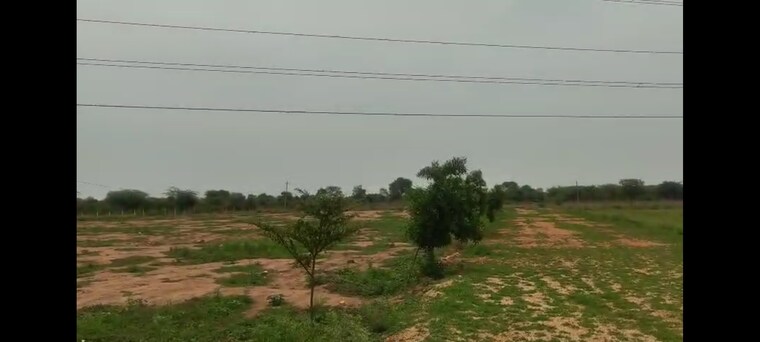 Garden, chevalla Commercial Land 2 Acre In Chevalla Hyderabad 9154438