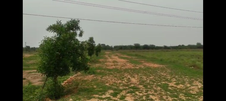 undefined, chevalla Commercial Land 2 Acre In Chevalla Hyderabad 9154438