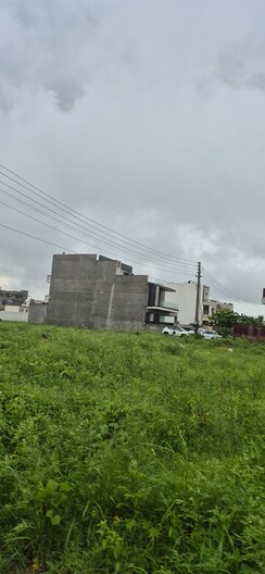 Plot For Sale in Sector 79