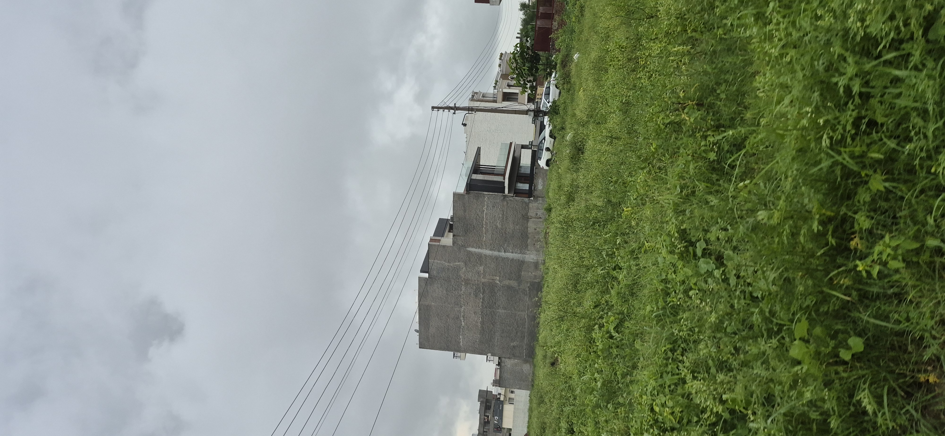 Plot For Sale in Sector 79