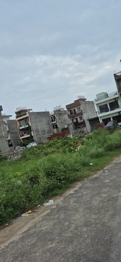 Plot For Sale in Sector 79