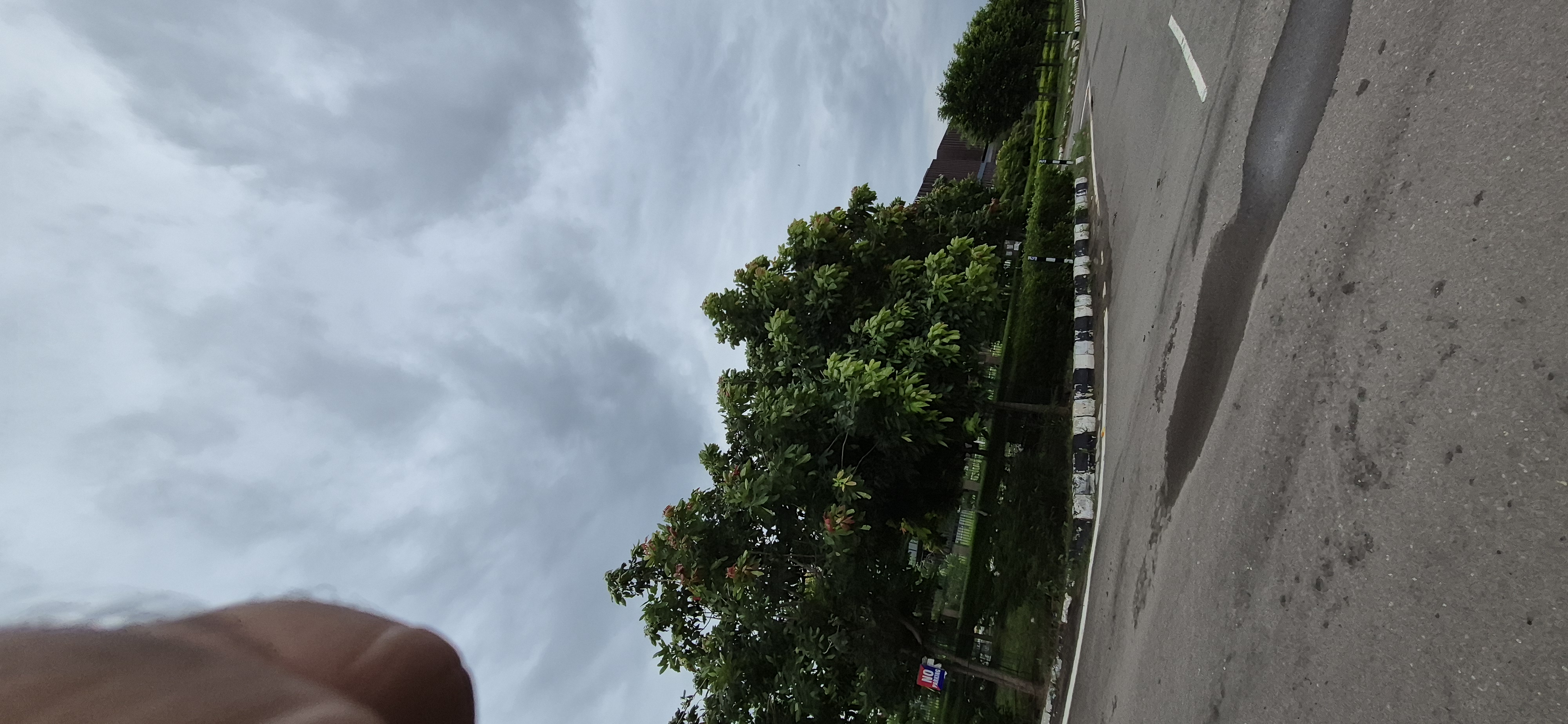 Plot For Sale in Mohali