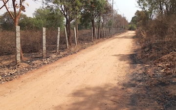 Plot For Sale in Chandapura Anekal Road