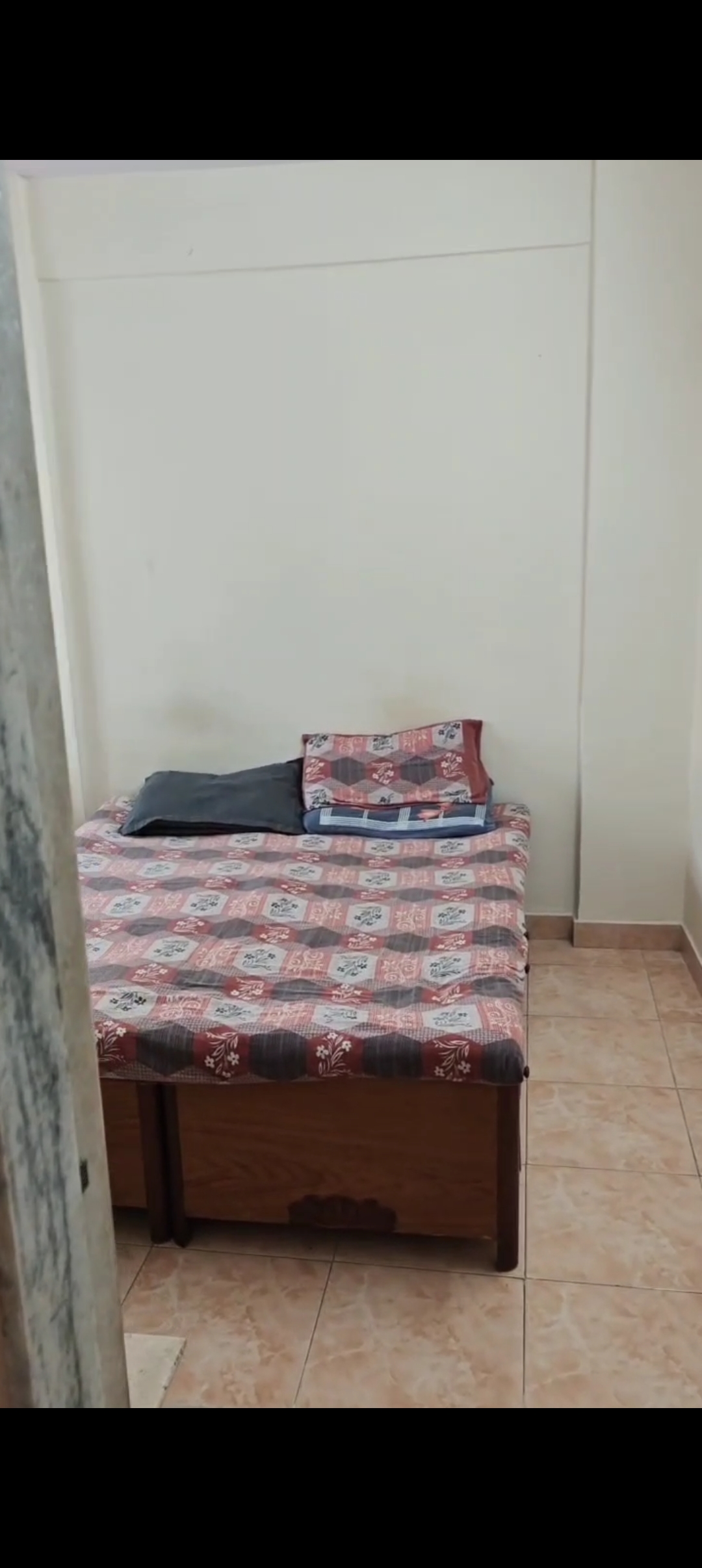 1 BHK Apartment For Rent in Avillion Greenfields Co Op Housing Society