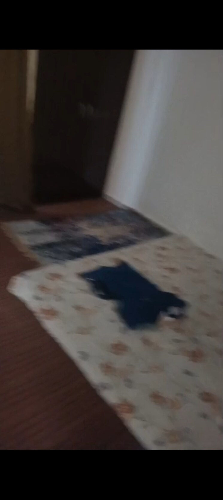 Bedroom, sam-palm-olympia 2 Bedroom 883 Sq.Ft. Apartment In Sector 16c Greater Noida Greater Noida 9154753