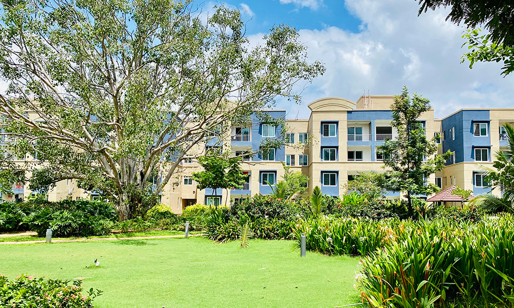 1 BHK 619 Sq.Ft. Apartment in Brigade Xanadu