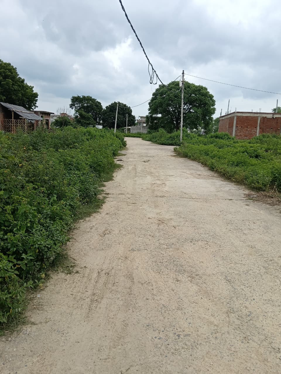 Plot For Sale in Kamta Me Plots Available