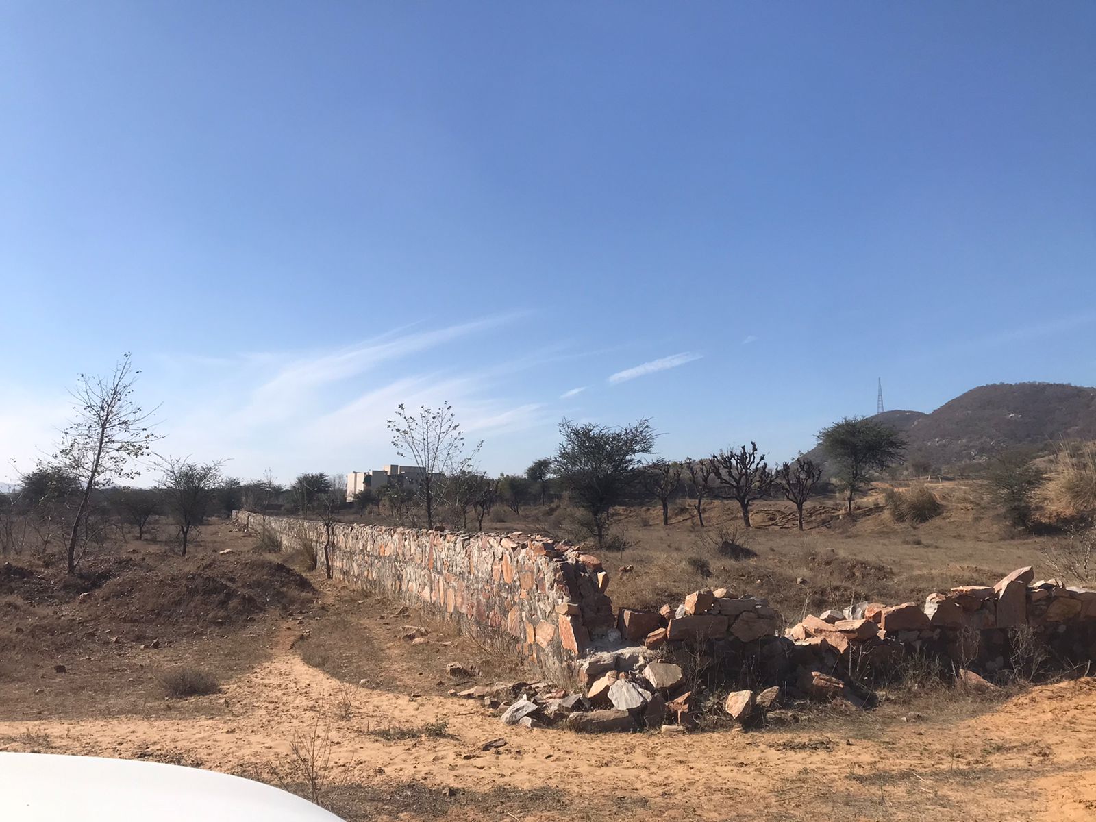 Plot For Sale in SVN Future Home