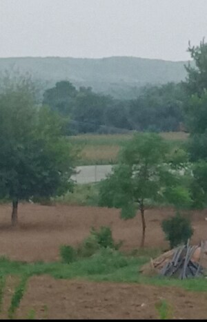 Plot Area in  Plot at Alwar Bypass Road – for Sale