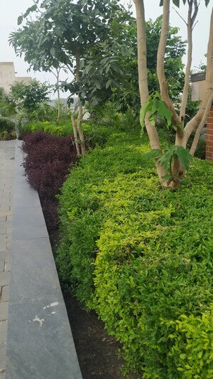  Plot – Garden View at Vidhan Sabha Marg - for Sale