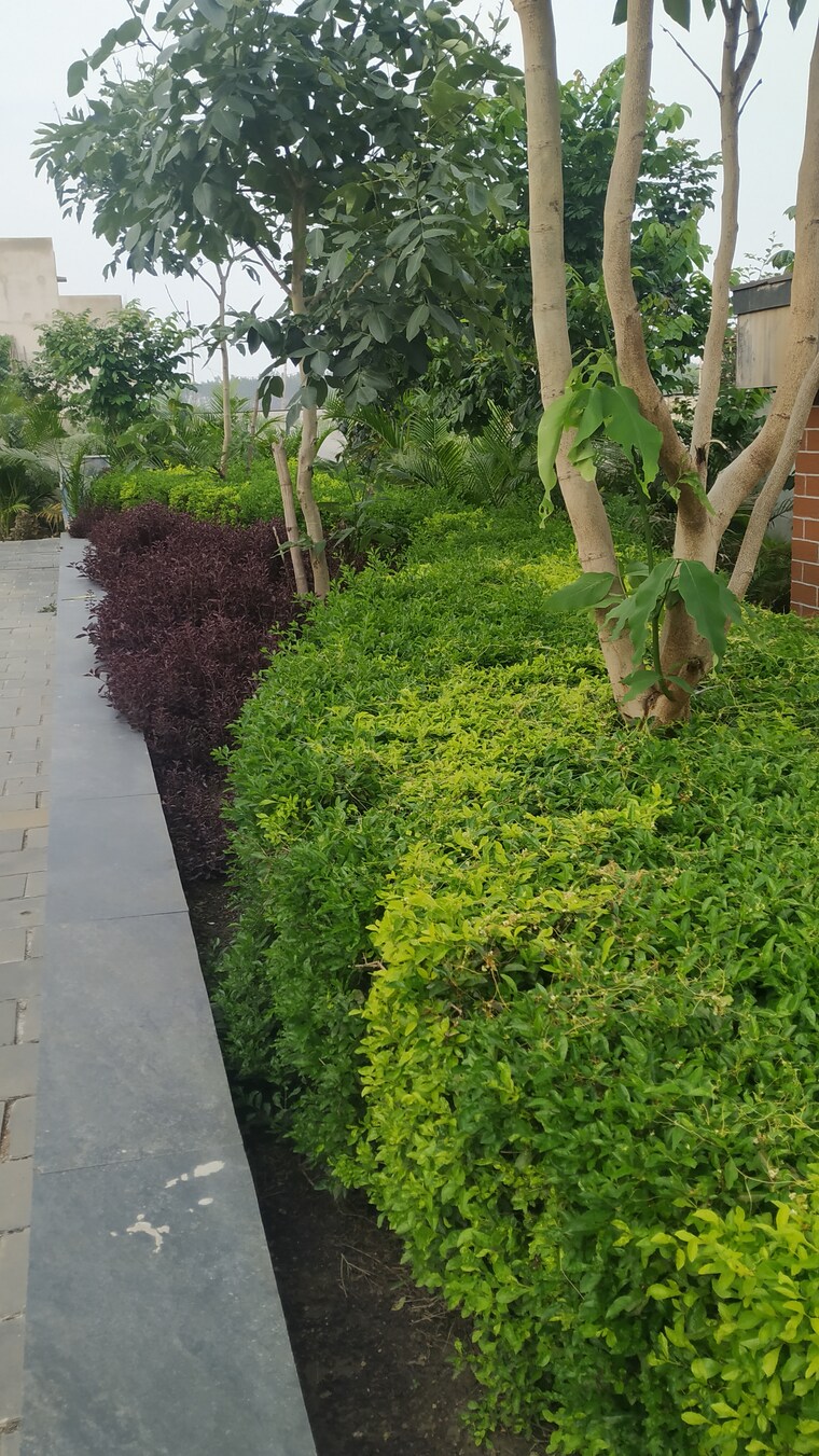 Garden, vidhan sabha marg  1250 Sq.Ft. Plot In Vidhan Sabha Marg Raipur 9155299
