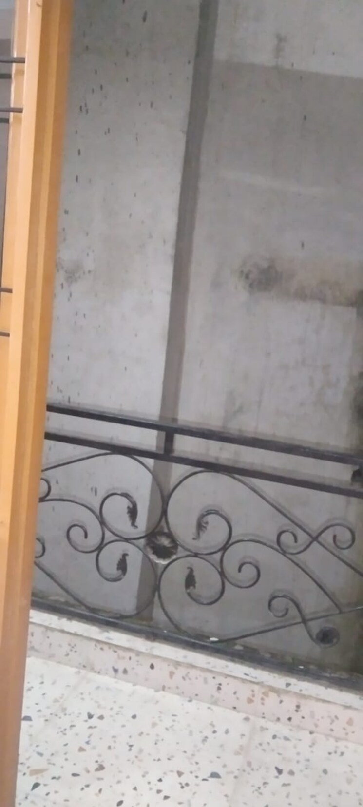 undefined, kishangarh 1 Bedroom 500 Sq.Ft. Builder Floor In Kishangarh Delhi 9155509