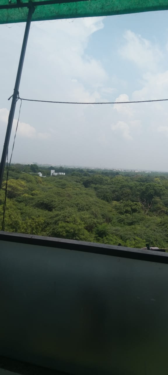 3 BHK + Pooja Room Builder Floor For Rent in Chhabra Real Estates 