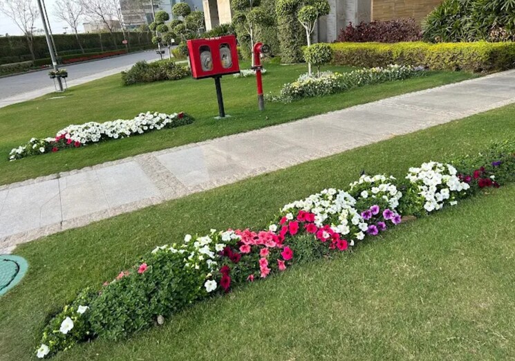 Garden, pioneer-araya 4 Bedroom 4983 Sq.Ft. Apartment In Sector 62 Gurgaon 9155525