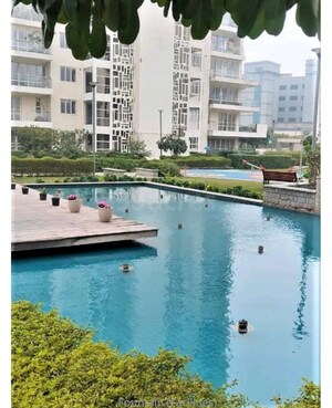 Swimming Pool in 4 BHK Apartment at Pioneer Park Presidia, Sector 62 – for Sale