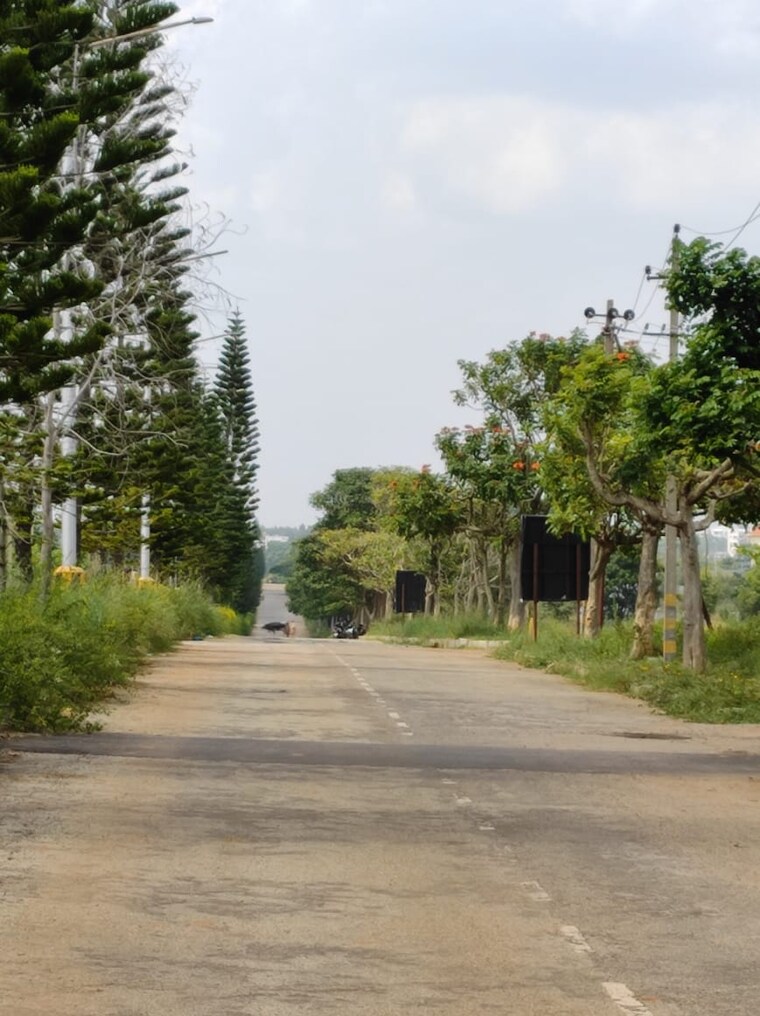 Garden, jr-gardens  2400 Sq.Yd. Plot In Chandapura Bangalore 9155577