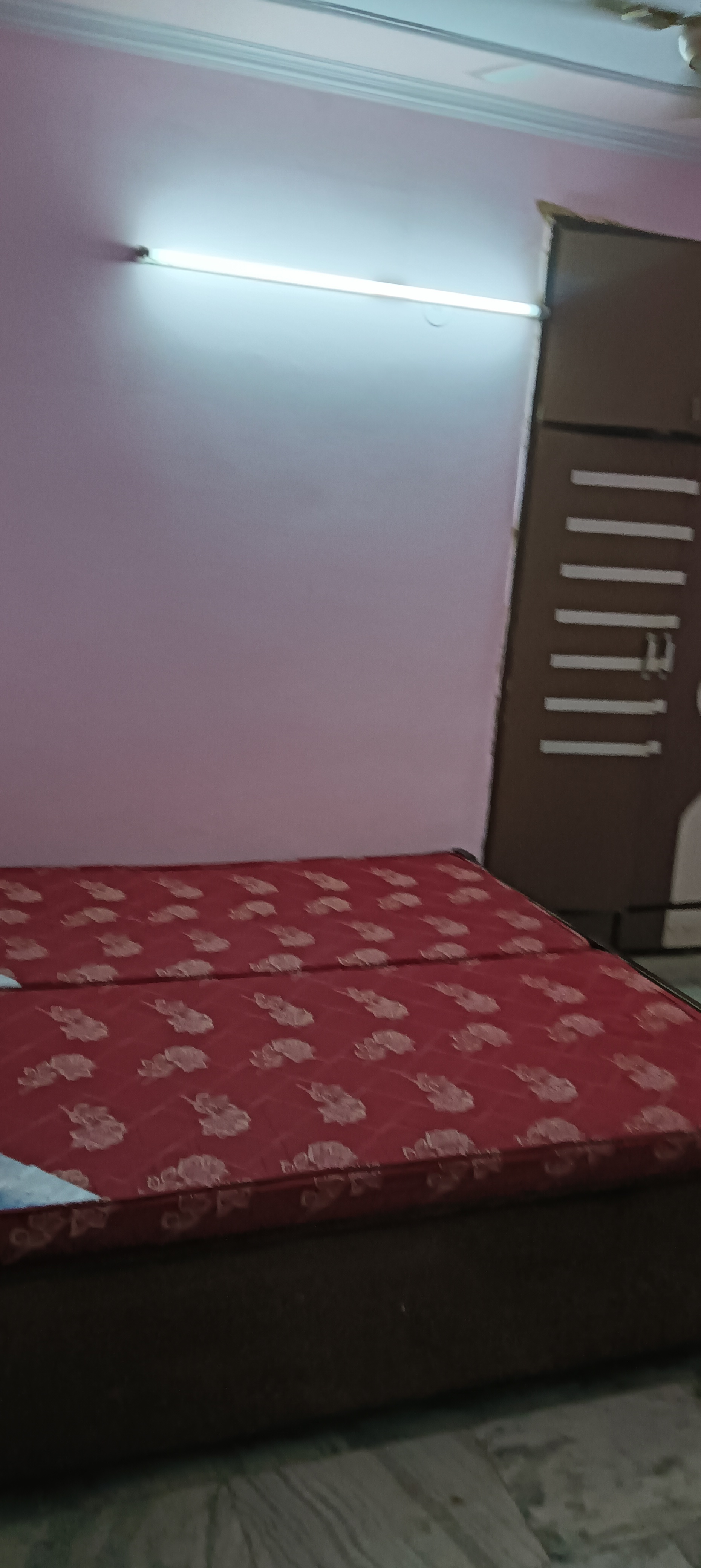 1 BHK Apartment For Rent in Sector 21C
