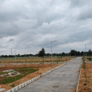 Plot Area in  Plot at JB Serene County, Kongara Kalan – for Sale