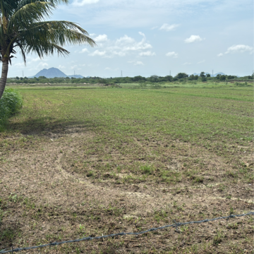 Plot Area in  Plot at Poranki – for Sale