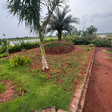Plot Area in  Plot at Poranki – for Sale