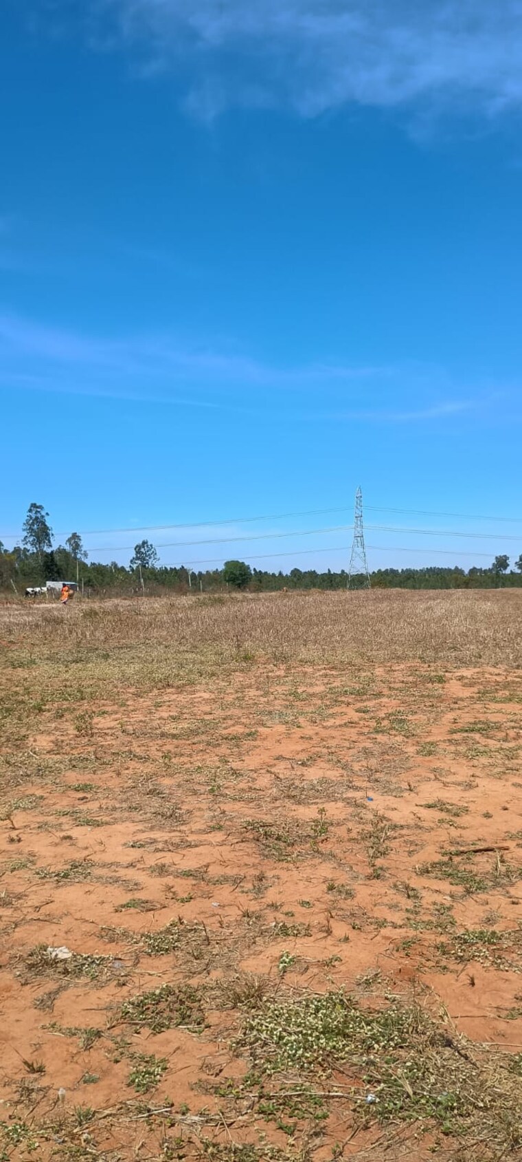 undefined, best-city-layout  1500 Sq.Ft. Plot In Rajanukunte Bangalore 9155754