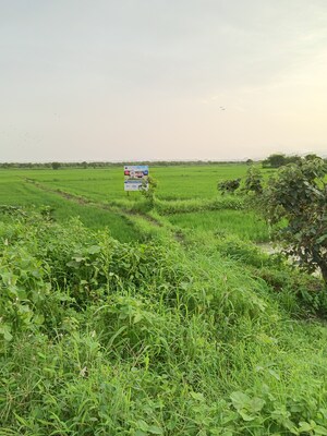  Plot – Exterior View View at Uran - for Sale