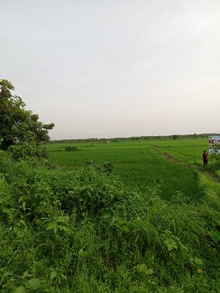 Plot For Sale in Bunglow Plot 