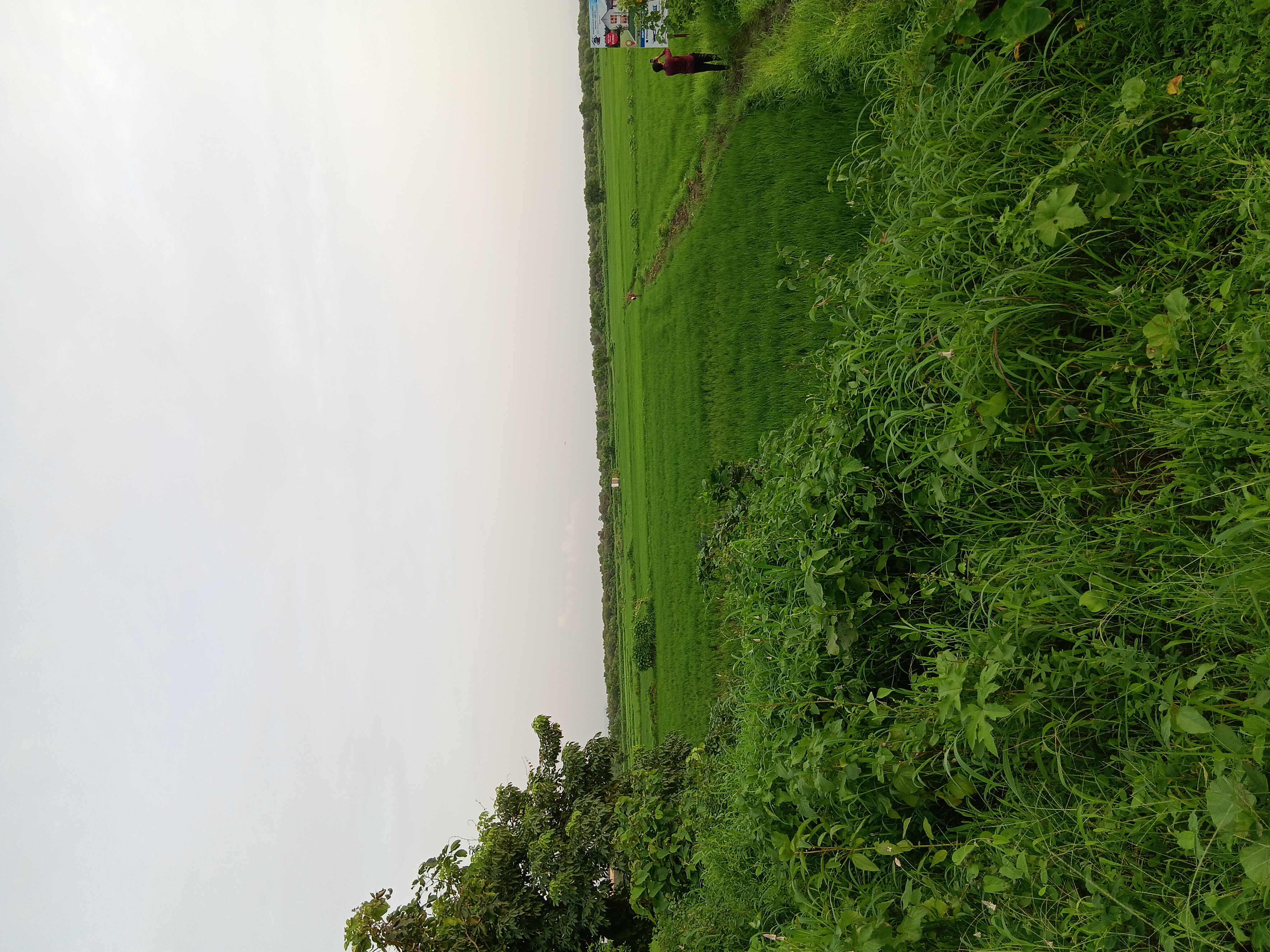 Plot For Sale in Bunglow Plot 