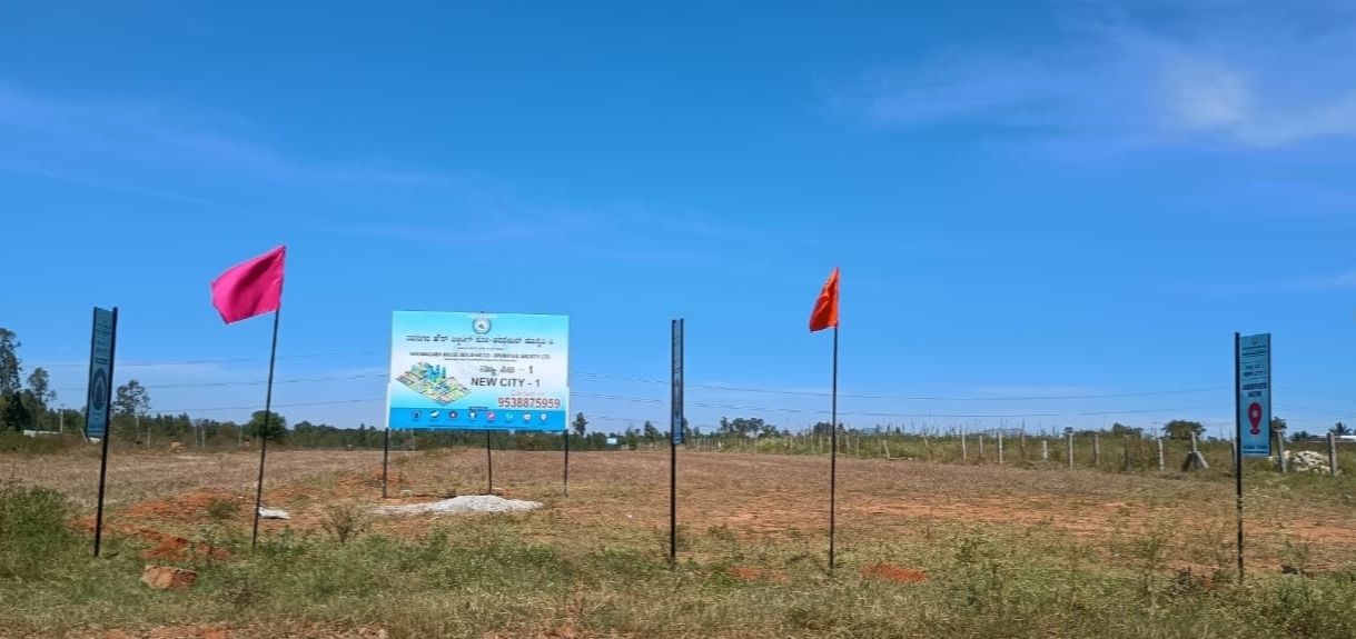 Plot For Sale in Rajanukunte