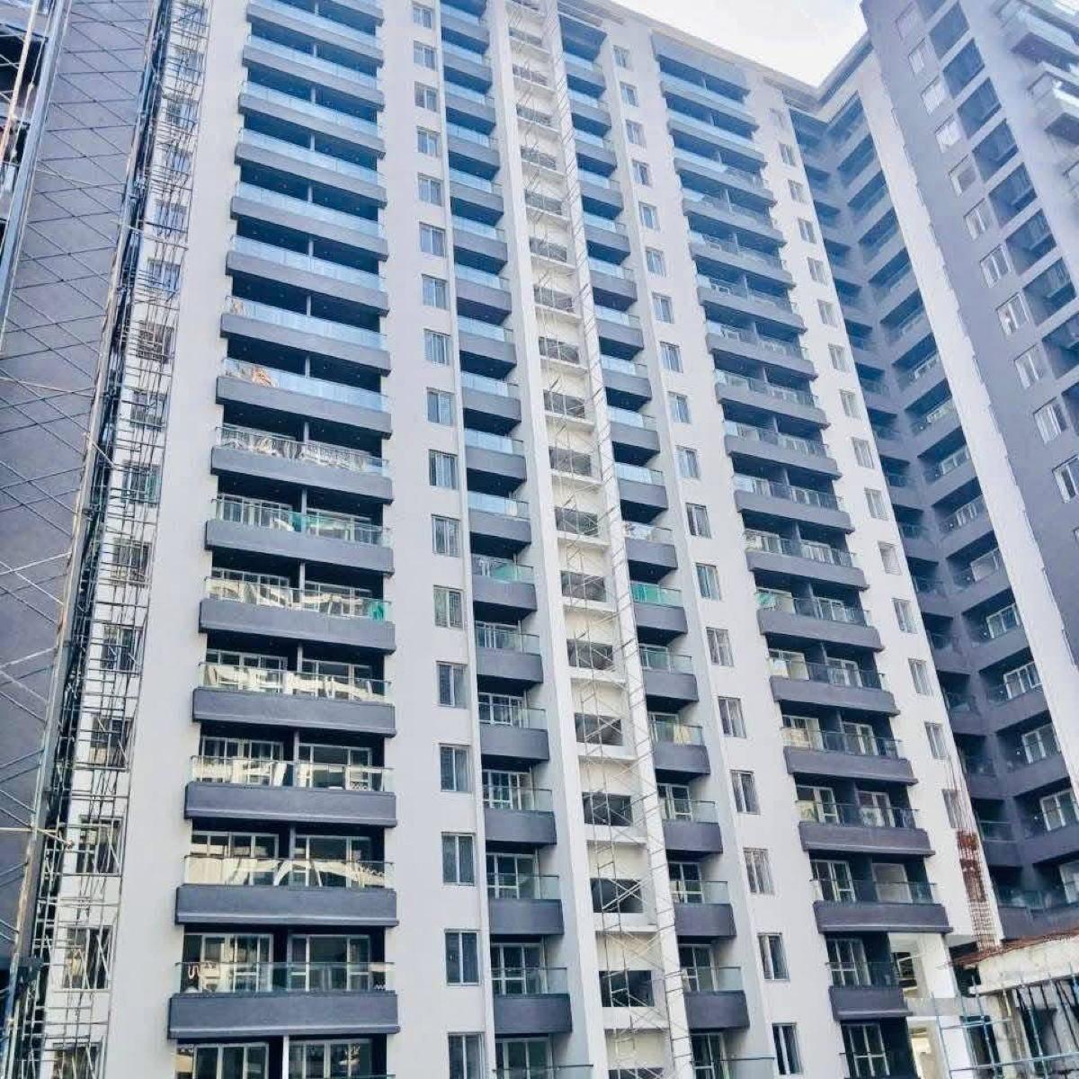 2 BHK + Study Room Apartment For Rent in Majestique Marbella Phase 1