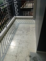 4 BHK 250 Sq.Yd. Builder Floor in Builder Floor